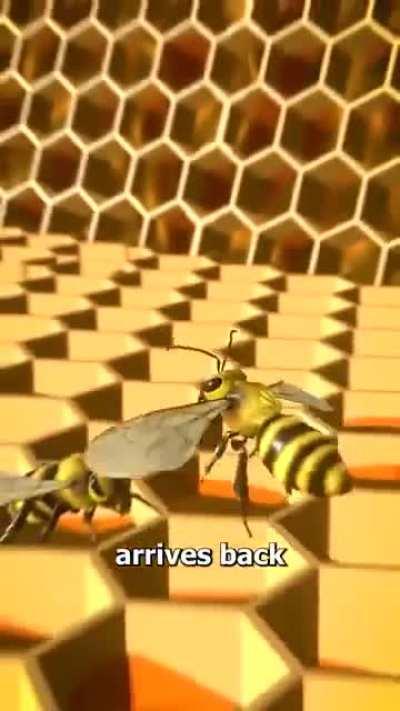 Well that's how honey is made