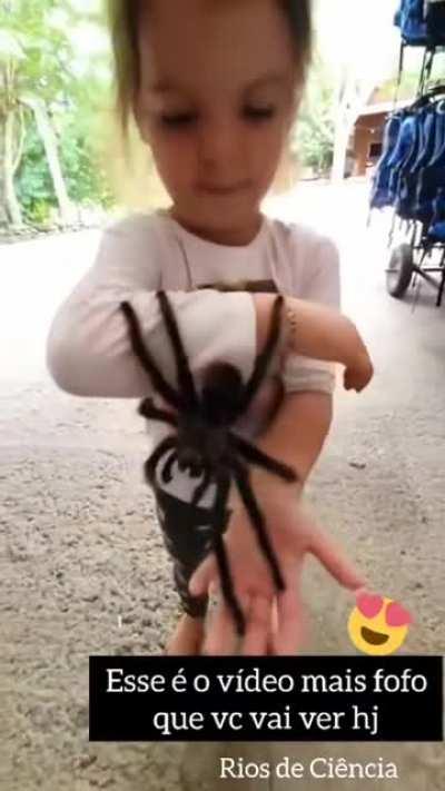 Momento cuti cuti do dia.