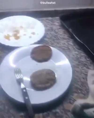 Véanlo hasta el final