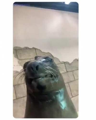 A couple of bros giving cheesey smiles