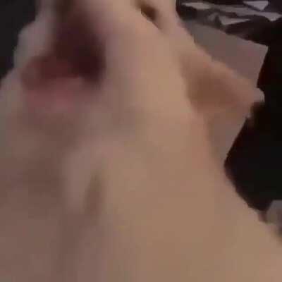 Esta es la cancion de los gracias por los 100 de karmaaaa ahora si viene los chido