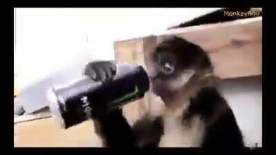 monkei drink