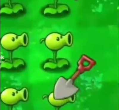 me when r/wordington