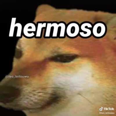 Los pibes facheros facheritos😎😎😎😎😎😎😎