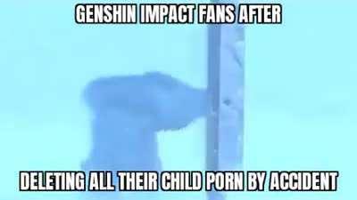 Genshit imfap