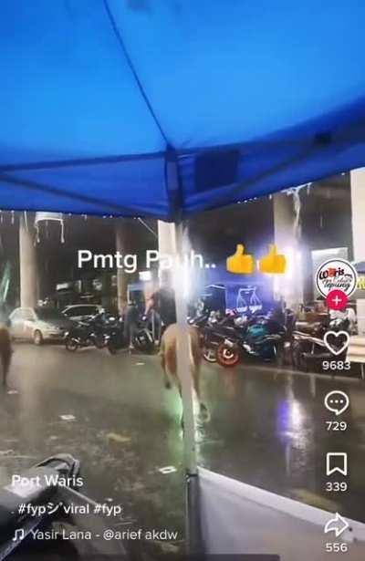 Taliban flag in Penang?