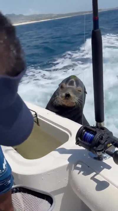 Oh God no! Give me a different one!