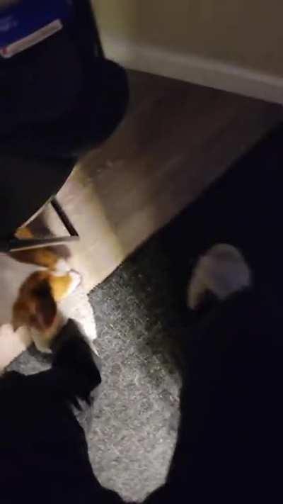 How To Touch Grass For Warframe Gamers That Need It