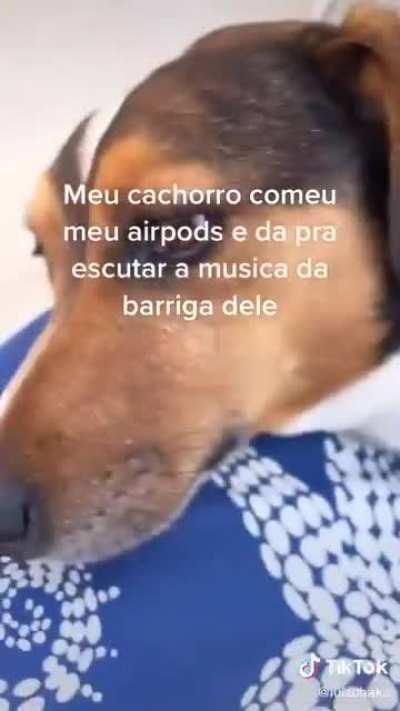 A cara de quem fez merda