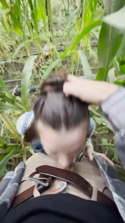 Literally no barriers