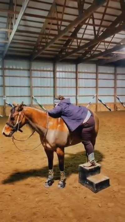 HMF as I ride off into the sunset