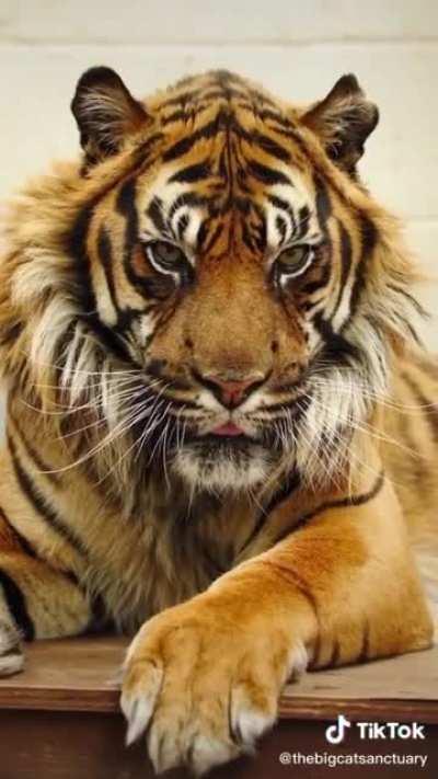 The imposing beauty of nature 🙂