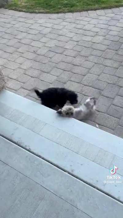 He’s figuring it out