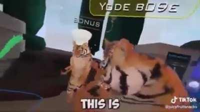 No no don't touch me there apenas melhor meme