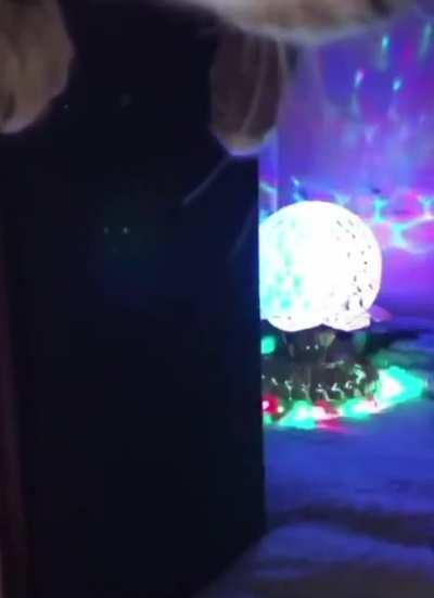 Our club is at risk of being raided by the pawlice because we allow our clients to consume some nip on site. We don't want any trouble, what can we do?