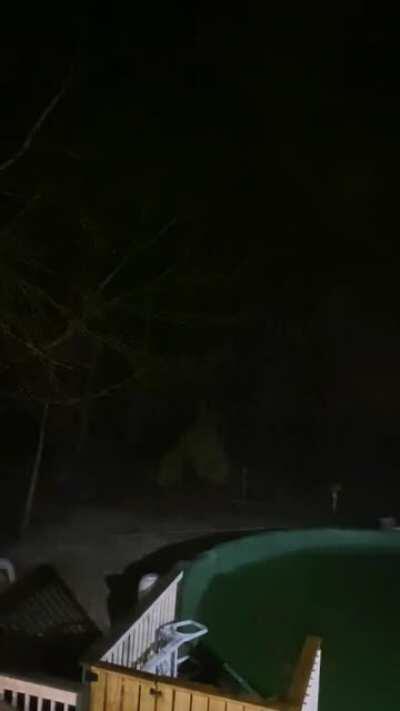 Can someone tell me what in the actual fuck this demonic dinosaur sounding creature is that’s stalking up and down in the woods at 1am? I live in south Jersey. Only deer, fox, owls, raccoons, opossum and geese in these woods. First time in 30 years of liv