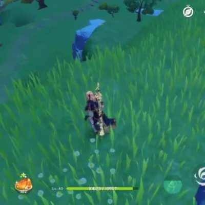 Lost 50-50 and got jean so ....