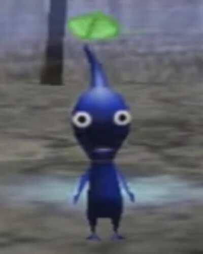 Low quality videos are funny