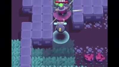 Ticks head is the real MVP here.