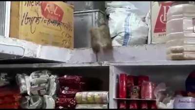 I live in a low income housing environment (praise spez)