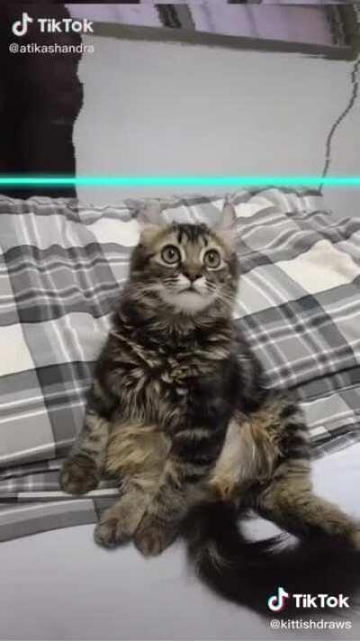 The last one looks like something out of a horror movie...