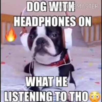 Okbuddyscott - Video #8038