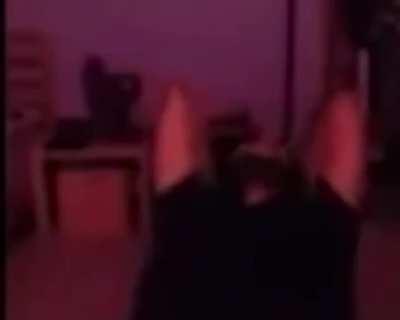 here's a template of mutahar laughing like a psycopath while heartaches plays in the bg