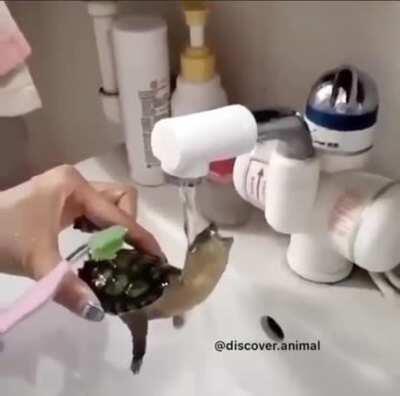 sIcK fUcK wAtErBoArDs AnD tIcKlEs InNoCeNt BaBy TuRtLe