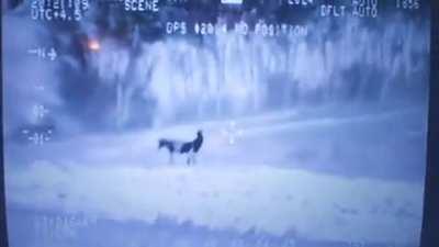 Breaking: kadyrov spotted in the outskirts of Kyiv by UA drone