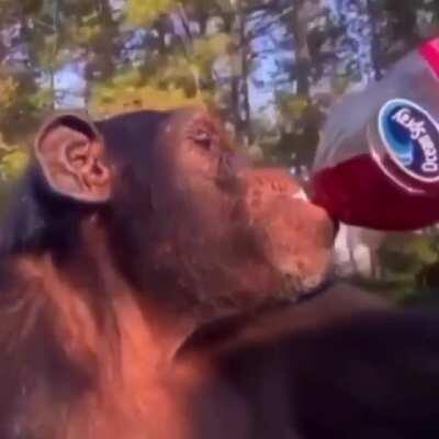 Yo y los pibes cuando orslok abre directo