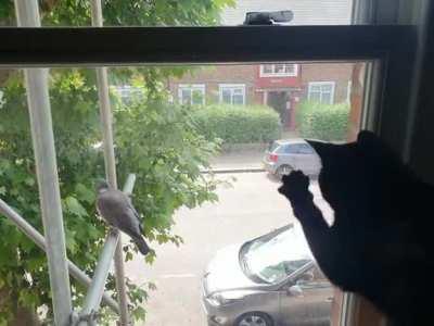 She hasn't quite got the hang of hunting yet