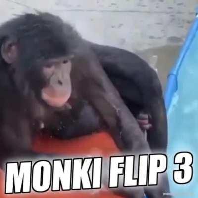 Ya está aquí¡!! Monki Flip 3!