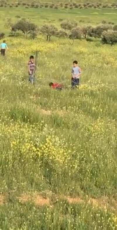 Testing the Tower Guards