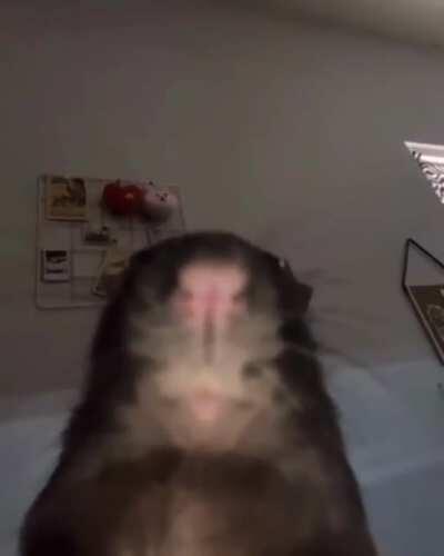 aNy GiFtErS👉🏽👈🏽😂