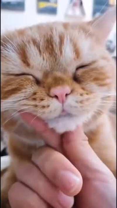 Does this fit here? I'm not entirely sure