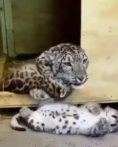Playing with her kid