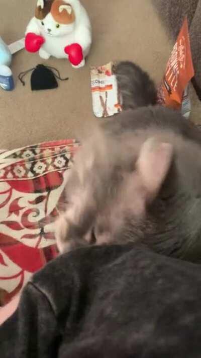 hello yes I’d like attention please