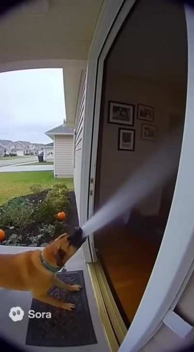 Ingaturoña no es IA