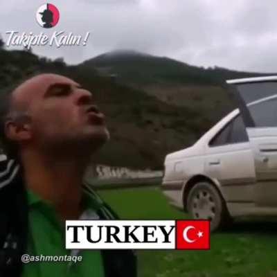 The most epic Turkish moment: The Turk evolved from gray wolf. (Transitional living fossil)