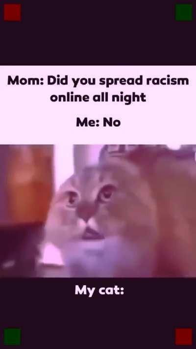 seguidores_de_lo_toad - Video #4972