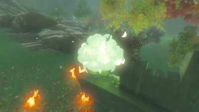 Yea you can grab a star fragment mid air, but have you gotten a korok? 