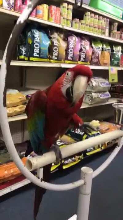 *aggressively mmms louder*