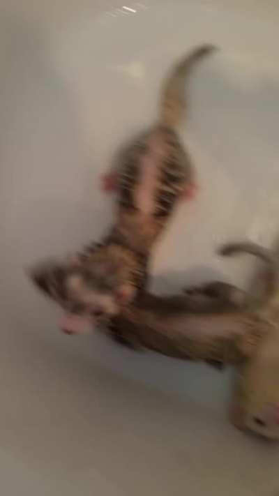 When you contemplate your whole life while showering