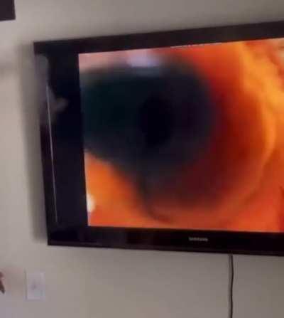 Big bear loves 🌿🚬💨