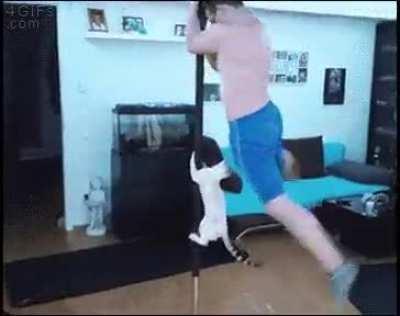 Catnip doesn't pay for itself.