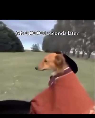 Sleepmakeswaves adventures