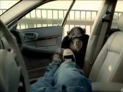 Mamaco salvando o dia.