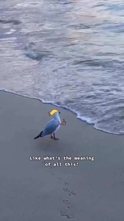 [Funny Friday] Meaning of life