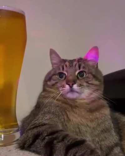 SOON PEOPLE WHO DIDN'T GET DOGECOIN WILL BE LOOKING AT DOGEHOLDERS LIKE THIS: