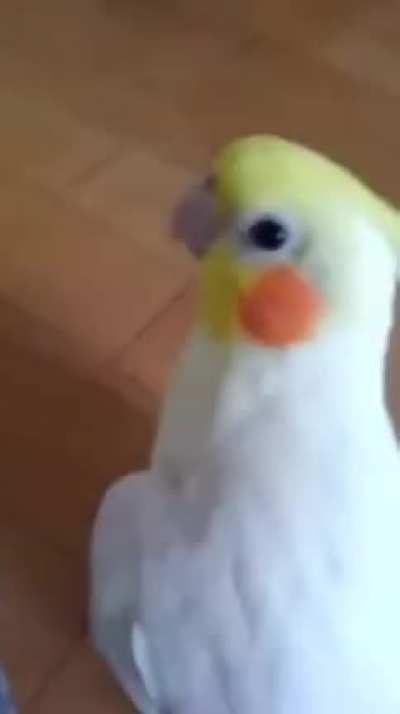 Impossible not be in a good mood around him